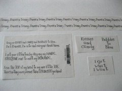 Princess Velum Scrapbook Words