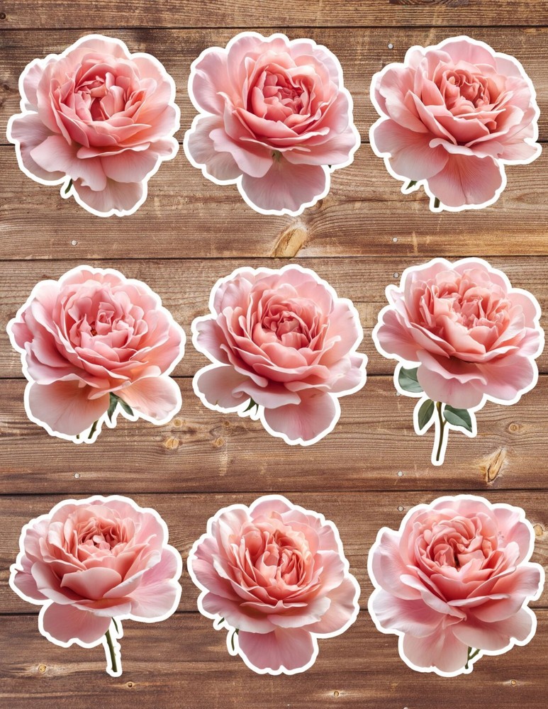 Pink Rose Bulb Die Cut Vinyl Stickers Set Scrapbooking Laptop Water Bottle