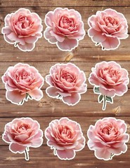 Pink Rose Bulb Die Cut Vinyl Stickers Set Scrapbooking Laptop Water Bottle