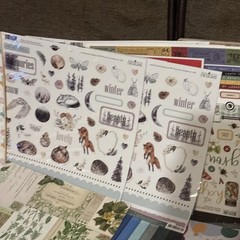 HUGE 12×12 SCRAPBOOK PAPER LOT~200 Shts.~Mixed Themes~NEW