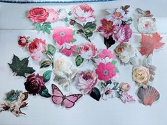 Lot 115+ Anna Griffin Scrapbooking Paper Embellishments Floral Die Cut Paper