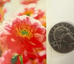 JOY FLOWER Stickers(9pc) Hallmark•Dream•Daisies•Garden •Poise•Blooms•Card Making
