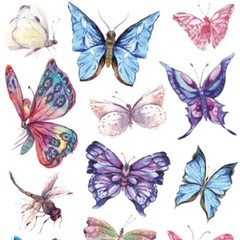 Violette Stickers – Watercolor Butterfly – 1 Sticker Sheet for Scrapbooking
