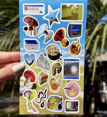 Creepycore 6 Sticker Sheets Scarycute Gothic Insects Horror Theme
