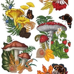 Violette Stickers – Mushrooms – 1 Mushroom Terrarium Sticker Sheet – Scrapbooks