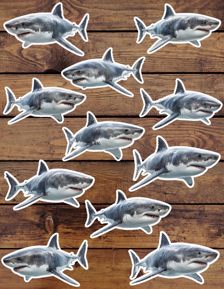 Great White Shark Vinyl Stickers Set Scrapbooking Laptop Water Bottle