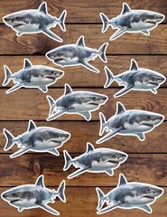 Great White Shark Vinyl Stickers Set Scrapbooking Laptop Water Bottle