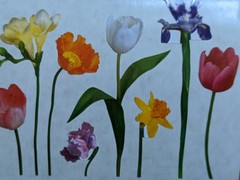 Vintage 1998 Mrs Grossman’s Spring Flowers Stickers Tulip Iris Daffodil II