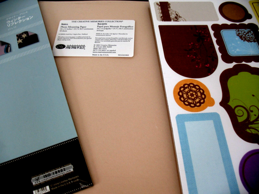 Creative Memories, 12×12 Winter Reflections Paper Pack, Shell, Simple Blooms