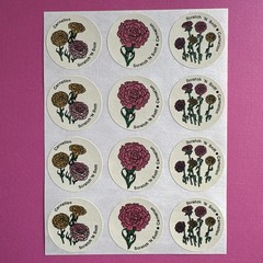 CTP Flower Scratch & Sniff Floral Full Sheet Sniffy Set Rose Lilac Carnation Lot
