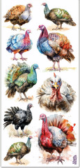 Violette Stickers Wild Turkey Scrapbook Craft Planner Supply Thanksgiving Birds