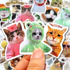 50/100pcs Funny Cat Stickers Cartoon Cute Decals Toy Stationery Guitar Phone