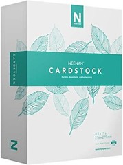 Vellum Bristol Cardstock – Lightweight, 325 Sheets, 67 lb – Fast Drying – Sheets