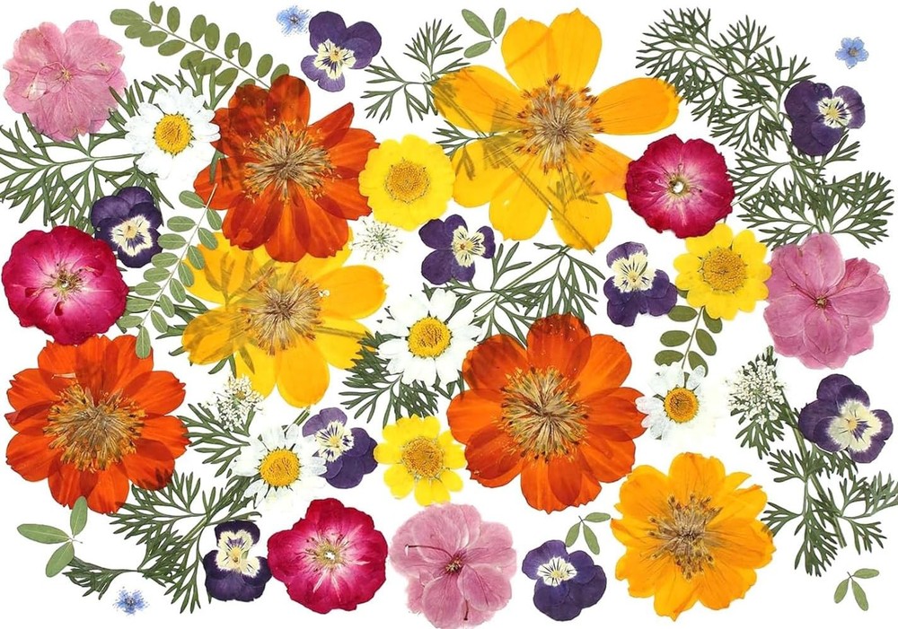 48 Pcs Natural Dried Pressed Flowers for Resin Jewelry, Crafts & Decor, Multicol