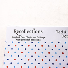 Michaels Scrapbook Paper Lot 12×12 Recollections Polka Dot 50 Sheets b