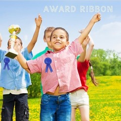 Blank Award Ribbon 12 Pieces Blue 1st 2nd 3rd Place Rosette for Competition