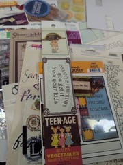 Large Mixed Lot Scrapbook Family Sayings, Expressions & Stickers