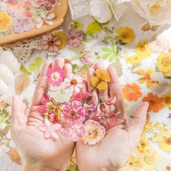 Pressed Flower Stickers Set, 270PCS Dried Flowers Waterproof Flower Language