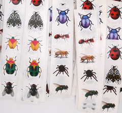 30 Bug/Insect Stickers/Scrapbooking/Planners/Crafts/Journals/1 inch