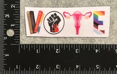 Lot of 1 Vote Banned Books Black Lives Matter Women’s Rights LGBTQIA Sticker