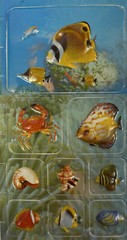 TROPICAL FISH #2 Dimensional Pop-Up Sticker(9pc)Ocean •Crab•Seashells•Tang Fish