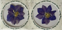 PURPLE FLOWER PRESSED & DRIED REAL FLOWERS(2pc)Leaves •Garden•Blooming•Buds•Stem