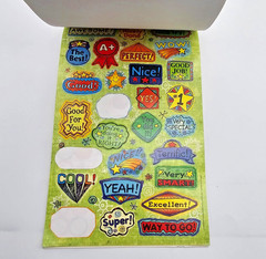 Learning Playground LP Motivational Stickers Over 300 Stickers Kids Boys Girls