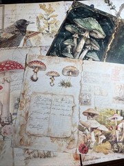 200+ cottage core mystical forest kit Lot Junk Journal Ephemera