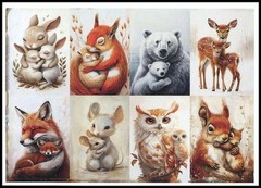 Stickers – Bear Deer Fox Mouse Owl Rabbit Squirrel – Any Occasion CL139