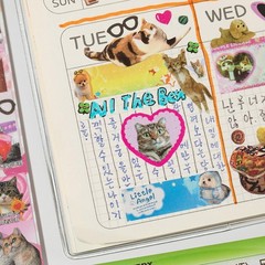 Cat Sticker Book with Meme Stickers 30 Pages Over 800 Die Cut Stickers with 3…