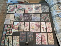 Nature Imprint Scrapbook Set Washi Stickers, Pet Stickers Memo Pad 5 Sheets Eph