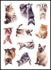 Stickers – Cat Kitten – Any Occasion CL152
