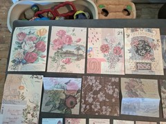 Nature Imprint Scrapbook Set Washi Stickers, Pet Stickers Memo Pad 5 Sheets Eph