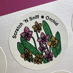 CTP Flower Scratch & Sniff Floral Full Sheet Sniffy Set Rose Lilac Carnation Lot