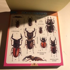 Beetle and Stag Beetle Japanese Stickers book 275 Stickers Shogakkan Neo