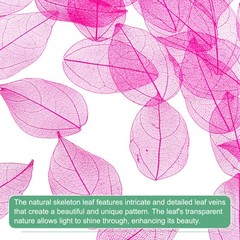 200-Pack Skeleton Leaves, Natural Rubber Leaves Vein[4-6cm, Rose Red]