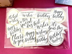 Anna Griffin’s Birthday 3D Sentiments & Gold Foil Embellishments + More 40 PCS +
