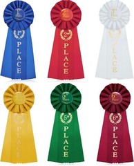 6 Pcs Award Ribbon Set 1st-6th Victory Rosette Halloween First Place Ribbon 1st,