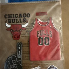 Jolee’s Boutique Stickers – 3D Chicago Bulls