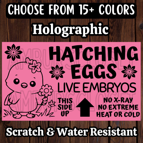 50 LIVE EGG EMBRYOS STICKERS 2.25″ LABELS SEALS HATCHING EGGS FRAGILE EGGS CHICK