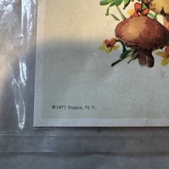 Vintage 1971 traditional Mushroom Transfer Rub On Stickers decal only 1 image