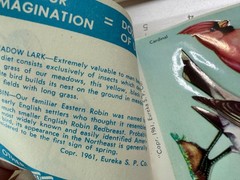 Vintage Eureka Mid Century Wild Bird Seals Stickers Booklet 24 Seals Complete
