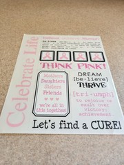 SRM Stickers/Say It With Stickers~Celebrate Life/Breast Cancer Awareness