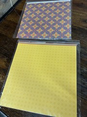 2 PACKS Close To My Heart Scrapbooking paper sheets My Reflections Viva CB20131
