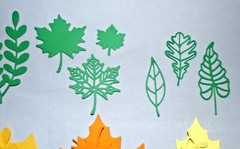 64 pcs Total Leaves & Leaf Die Cuts Pieces Assorted Designs Handmade Fall Colors