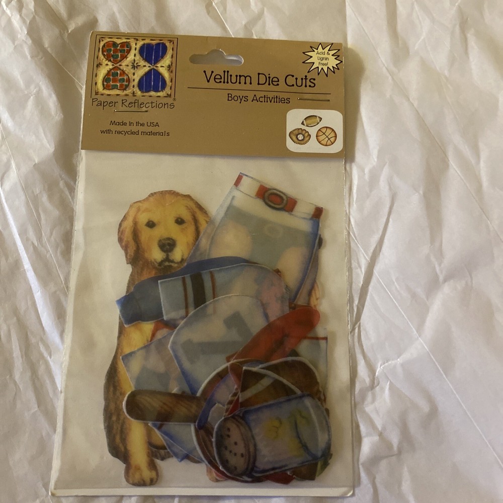 Paper Reflections 19 Vellum Die Cuts Boy’s Activities BRAND NEW