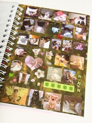 Cat Sticker Book, 30 Pages Over 800 Cute Die Cut Stickers with 3 Style 1