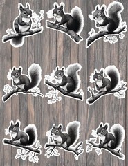 Black and White Squirrel Vinyl Stickers Set Scrapbooking Laptop Waterbottle