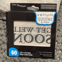 Mixed Brands Paper Craft Lot: Archival Ink, VC-82 Black, Vellum Quotes A2