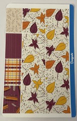 FALL LEAVES Sticker(23pc)Autumn •Planner•Calendar•Journaling •Border•Plaid•Tree•